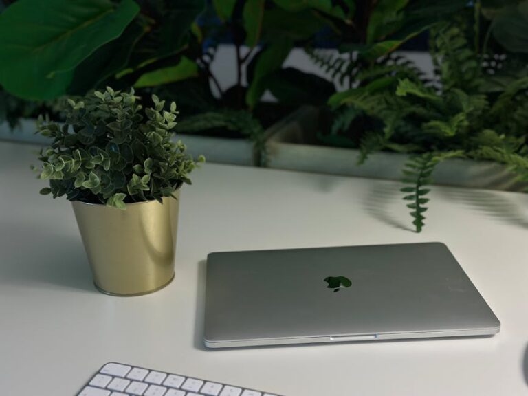 Ein sauberer und moderner Arbeitsplatz mit Laptop, Tastatur und Topfpflanze auf einem weißen Schreibtisch mit grünem Laub.