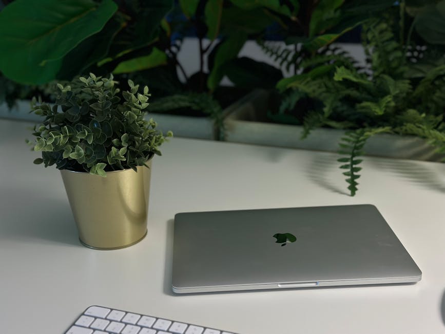 sevdesk der direkteste Wettbewerber – lexoffice alternativen 2026